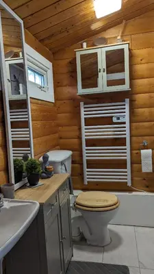 a bathroom with a toilet and a sink at Snowdonia Log cabin in Trawsfynydd
