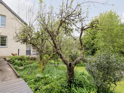 a tree in a garden in front of a house at Myrtle Villa in Knighton