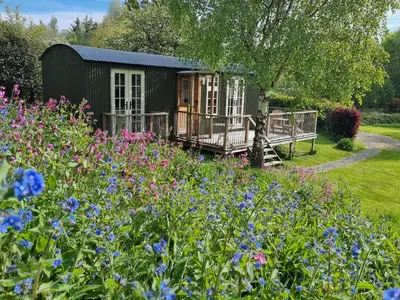 a cabin in a garden with flowers in the foreground at Mucklewick Hollow in Shrewsbury