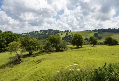 a field of green grass with trees in the distance at The Stone Barn in Downton