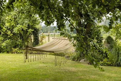 a hammock hanging from a tree in a garden at Broomers Barn in Lane to Richards Castle