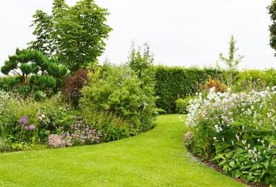 a garden with many different flowers and plants at Broomers Barn in Lane to Richards Castle