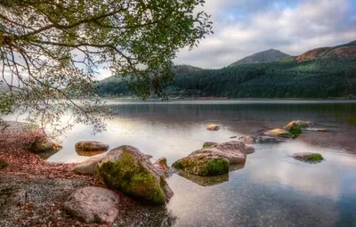 a lake with some rocks in the water at 1 Bed in Cerrigydrudion oc-bow194 in Cerrig-y-Druidion