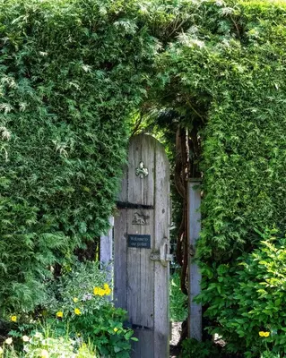 a wooden door in a hedge with a gate at The Shire Luxury Converted Horse Lorry with private hot tub Cyfie Farm in Llanfyllin