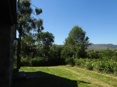 a field of grass with trees and a dirt road at Nature's Oasis: Pet-Friendly Snowdonia Cottage in Trawsfynydd