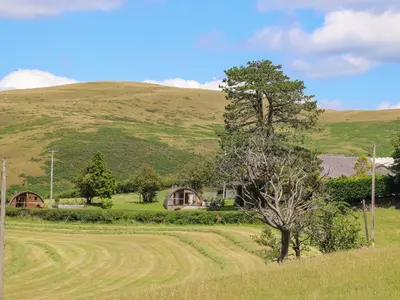 a tree in a field with a hill in the background at Pine Lodge in Llangadog