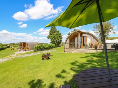 a green umbrella sitting on top of a grass field at Pine Lodge in Llangadog