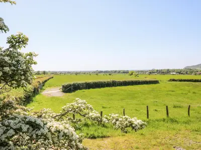 a field of green grass with a fence and flowers at Bodnant in Tywyn
