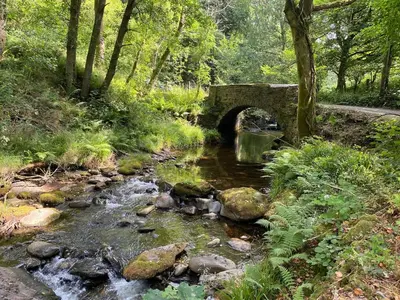 a bridge over a stream in a forest at Cuckoo Cabin, Tyn Y Cwm in Scyborycoed
