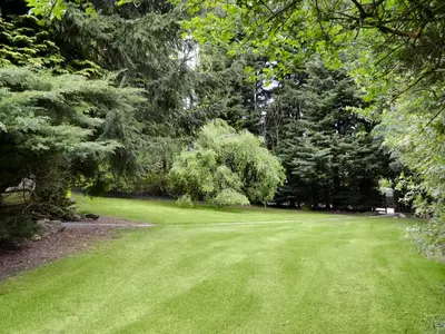 a green lawn with trees in a park at The Summer House in Easthope