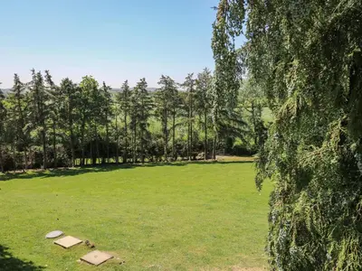 a large green field with trees in the background at Awelfan in Newtown