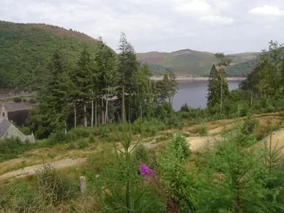 a view of a lake from a hill at Glan Wye in Rhayader