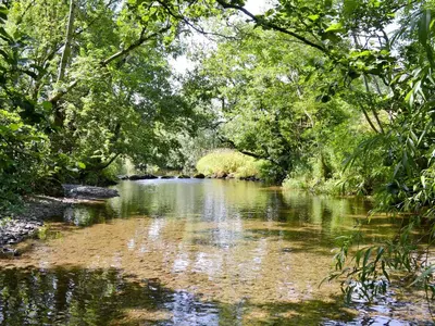 a river with trees on the side of it at Ty Rhyd in Llanrhaeadr-ym-Mochnant