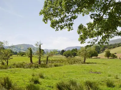 a field with trees and mountains in the background at Ty Rhyd in Llanrhaeadr-ym-Mochnant