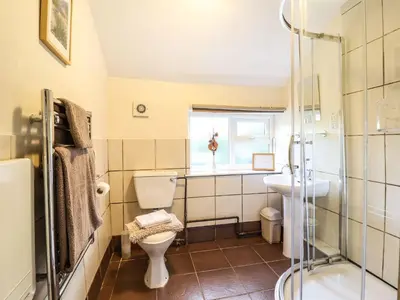 a bathroom with a toilet and a sink and a shower at Pen y Bont in Machynlleth