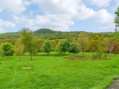 a green field with trees and hills in the background at Field View in Cynghordy