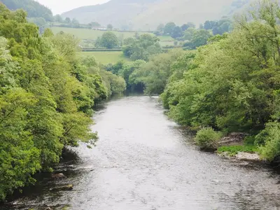 a river with trees on both sides of it at Maesmor in Bala
