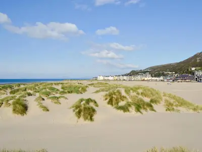 a sandy beach with trees and houses in the background at Cae-Fadog Fach in Barmouth