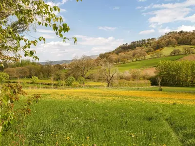 a field of yellow flowers in a field at The Loft At Callow Fold in Eaton
