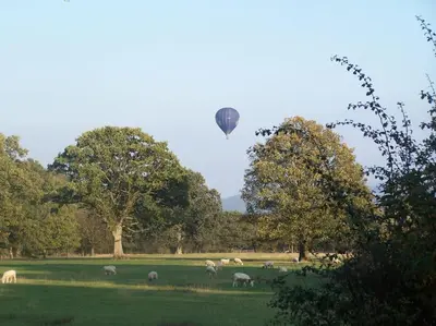 a hot air balloon flying over a field with sheep at Stunning cottage nestled under the Longmynd Hills. in Church Stretton