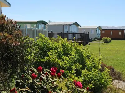 a garden with red flowers and houses in the background at 98Lemmington by the beach Ynyslas, Borth in Borth