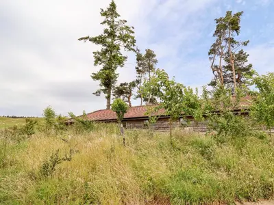 a building in a field with tall grass and trees at Y Caban in Llangollen