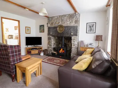 a living room with a couch and a fireplace at Bodalaw in Trawsfynydd