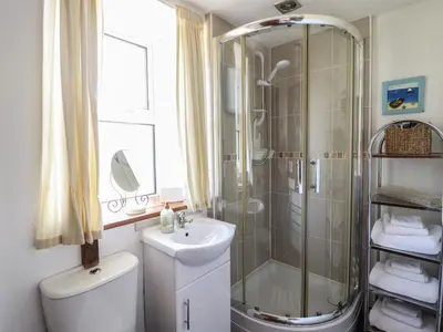 a bathroom with a shower and a toilet and a sink at Bodalaw in Trawsfynydd