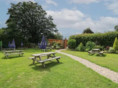 a group of picnic tables with umbrellas in the grass at Daffodil in Welshpool