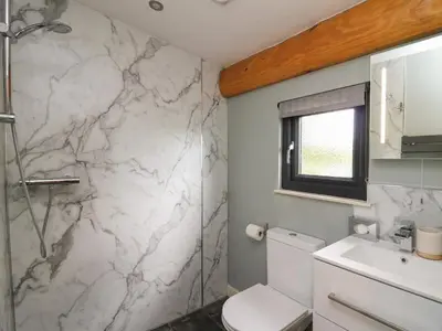 a bathroom with a toilet and a sink at Daffodil in Welshpool