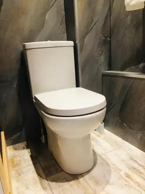 a white toilet sitting in a bathroom at Ty Cwtch in Dolgellau