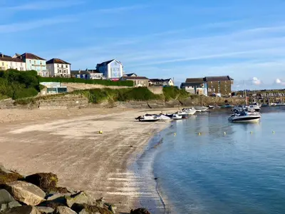 a group of boats are docked in the water at Loyalty in New Quay