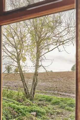 a tree in a field viewed through a window at Big Sky Hideaway in Leominster