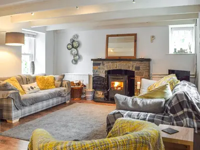 a living room with two couches and a fireplace at Penlan Cottage in Cwrt-newydd