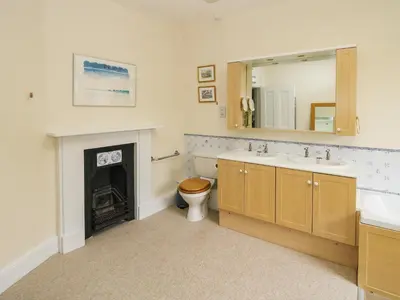 a bathroom with a fireplace and a sink and a toilet at Dinham Court in Ludlow