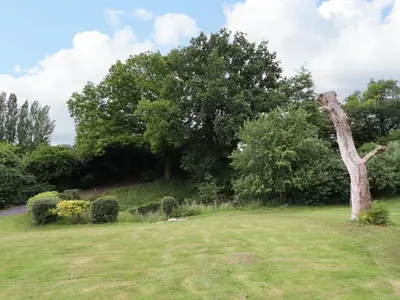 a tree in the middle of a grass field at Grove Cottage in Leominster
