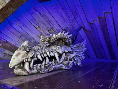 a skull of a dinosaur sitting on a table at Coed Y Ddraig - themed 3 bedroom cottage, with bar & pool table in Tregaron