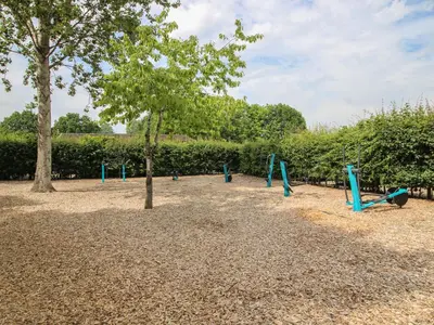 a playground with blue swings and a tree at Swan in Leominster