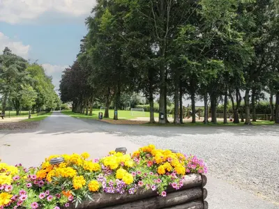 a bunch of flowers in a flower bed in a park at Swan in Leominster