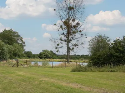 a tree in a field next to a body of water at Foxglove in Leominster