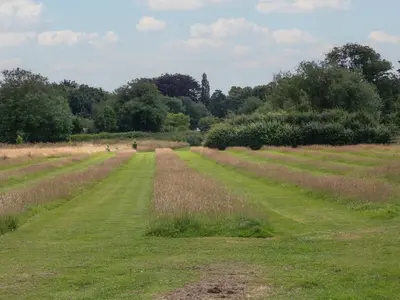 a field of grass with trees in the background at Foxglove in Leominster