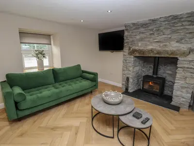 a living room with a green couch and a fireplace at Rhos Las in Derwen
