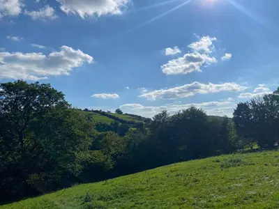 a green hill with trees and a blue sky at The Haystack in Oswestry