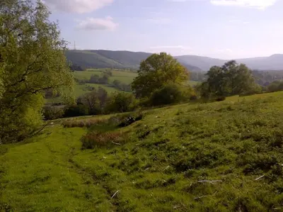 a green field with trees and hills in the distance at Stargazing lodge with amazing views. in Llandrindod Wells