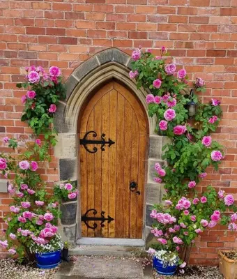 a brick building with a wooden door with pink flowers at The Old Coach House in Llangollen