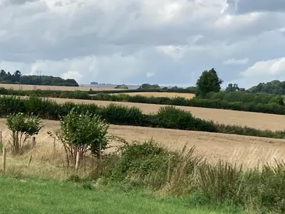 a field of grass with trees in the middle at Ox Box Cabin Lyonshall Kington in Hereford