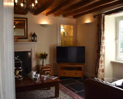a living room with a television and a fireplace at Penuwch Fach in Aberystwyth