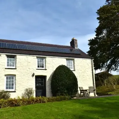 Penuwch Fach