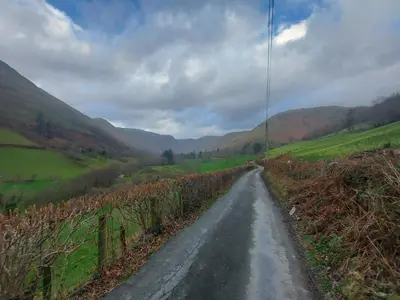 a road in the middle of a field at Bryn Sion Farm in Dinas Mawddwy