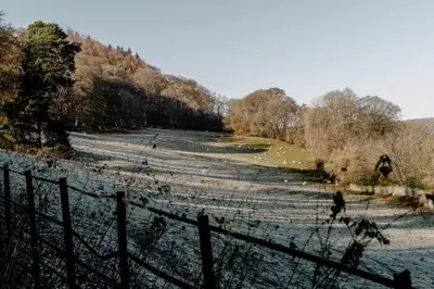 a field with a fence and a field with trees at Vega in Llangollen